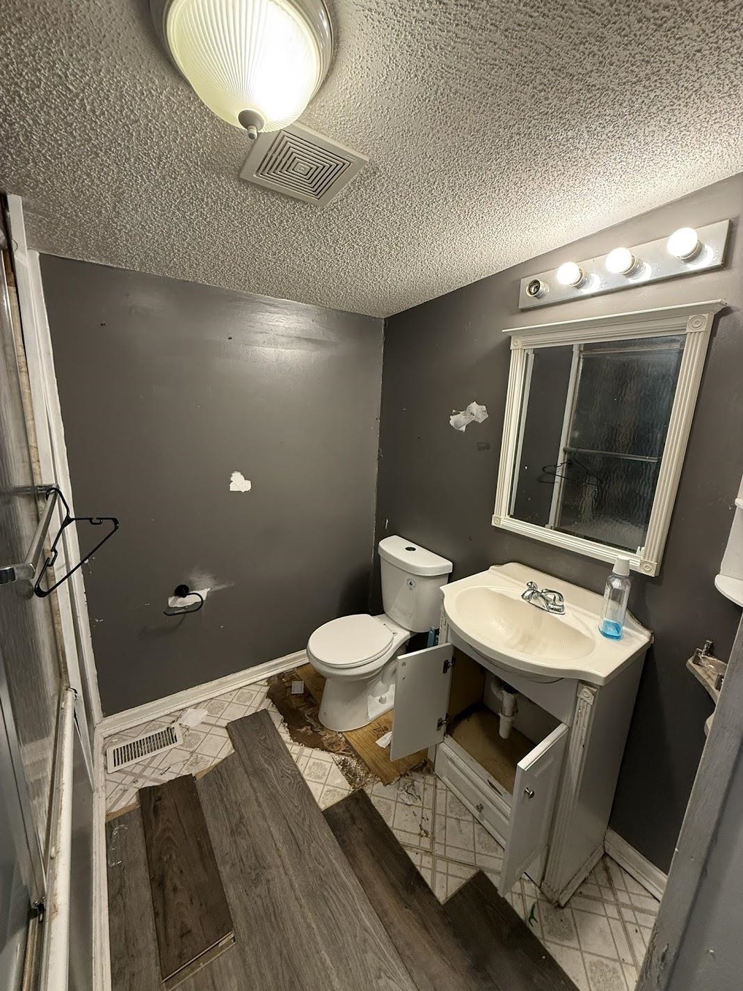 3794 Lucy Road Millington, TN 38053 - Photo 23 of 40 Bathroom featuring a single vanity, toilet, and overhead lighting