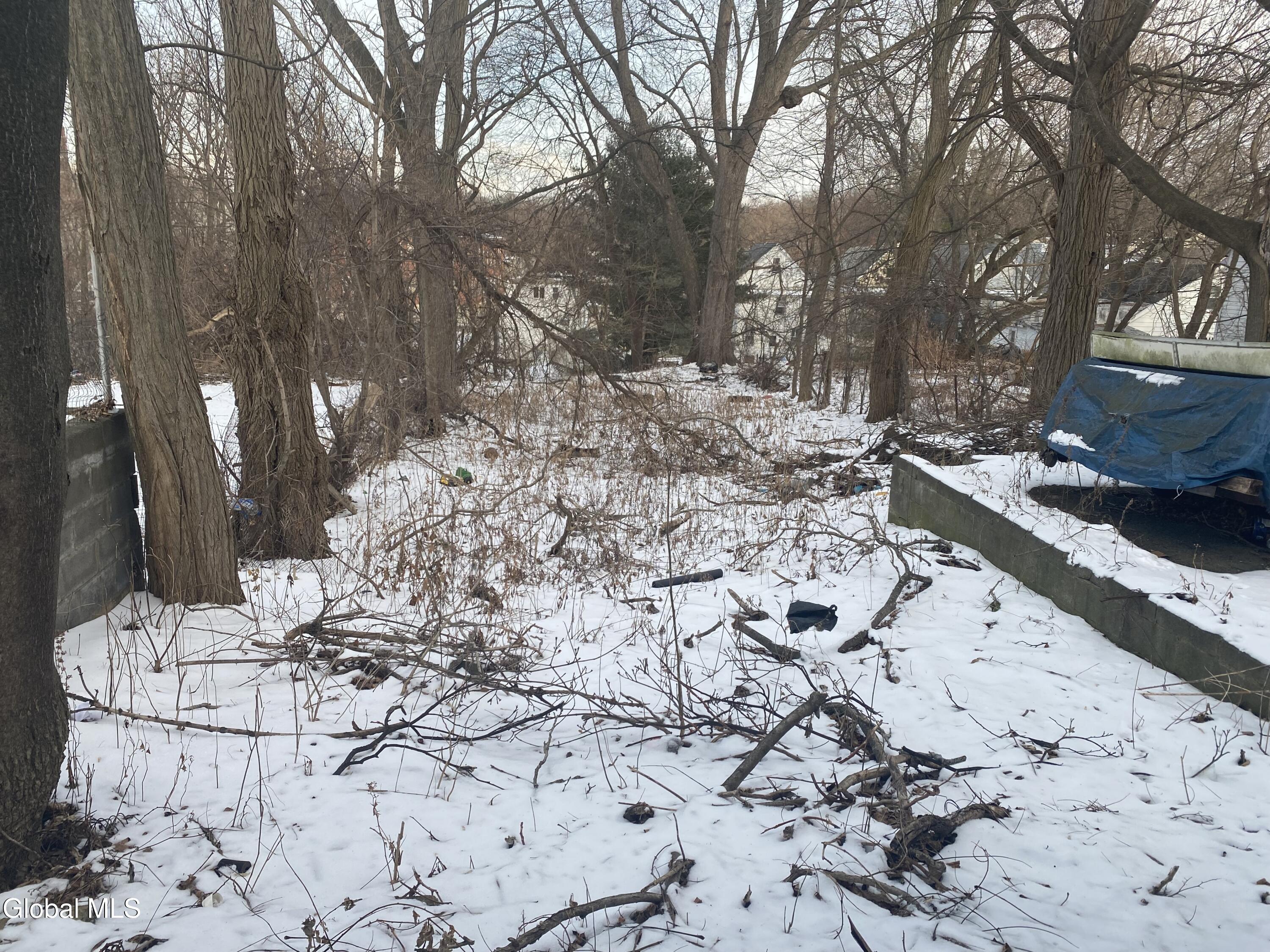 609 Bluff Avenue Schenectady, NY 12303 - Photo 8 of 44 IMG_7898