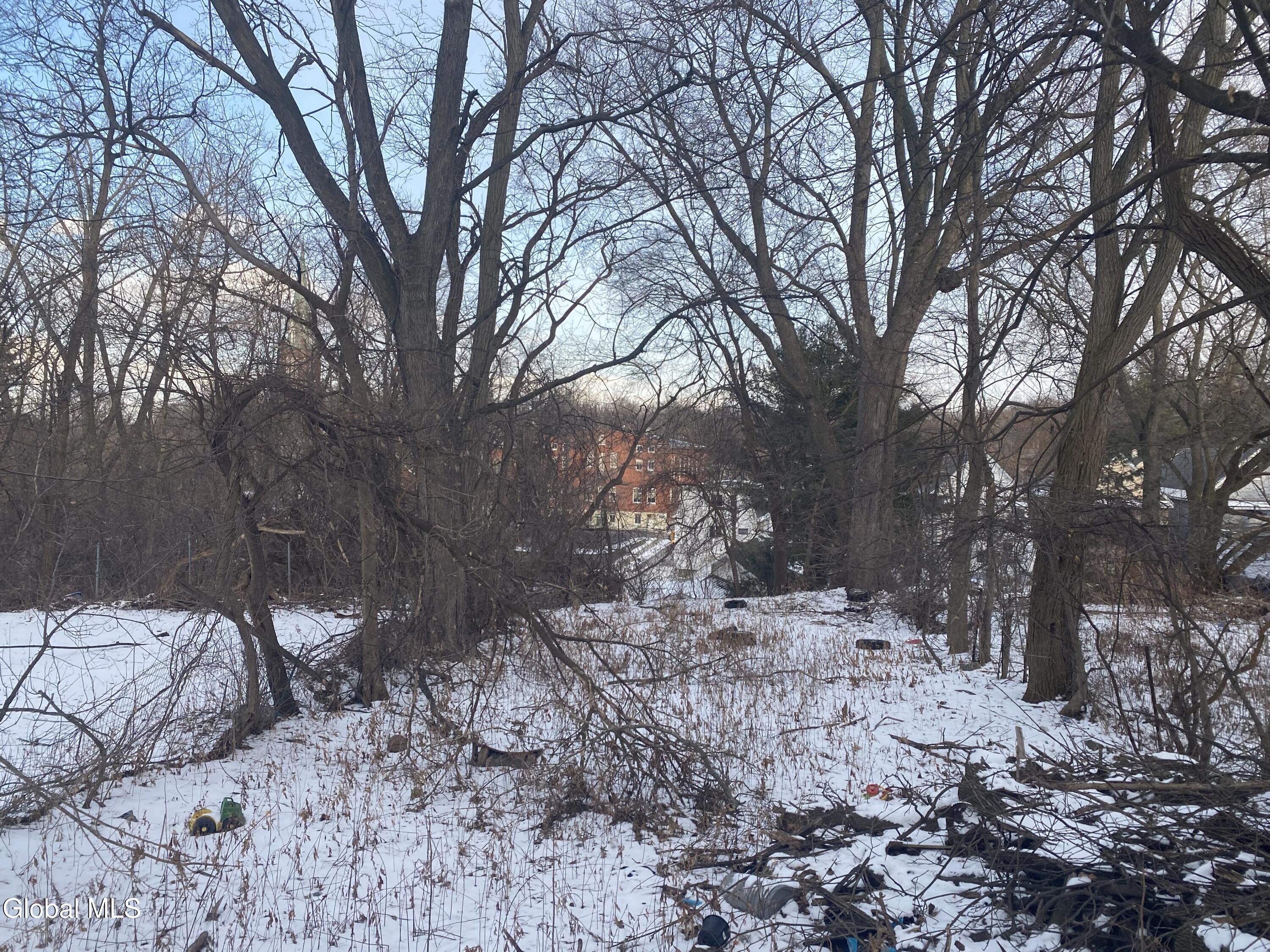 609 Bluff Avenue Schenectady, NY 12303 - Photo 9 of 44 IMG_7902