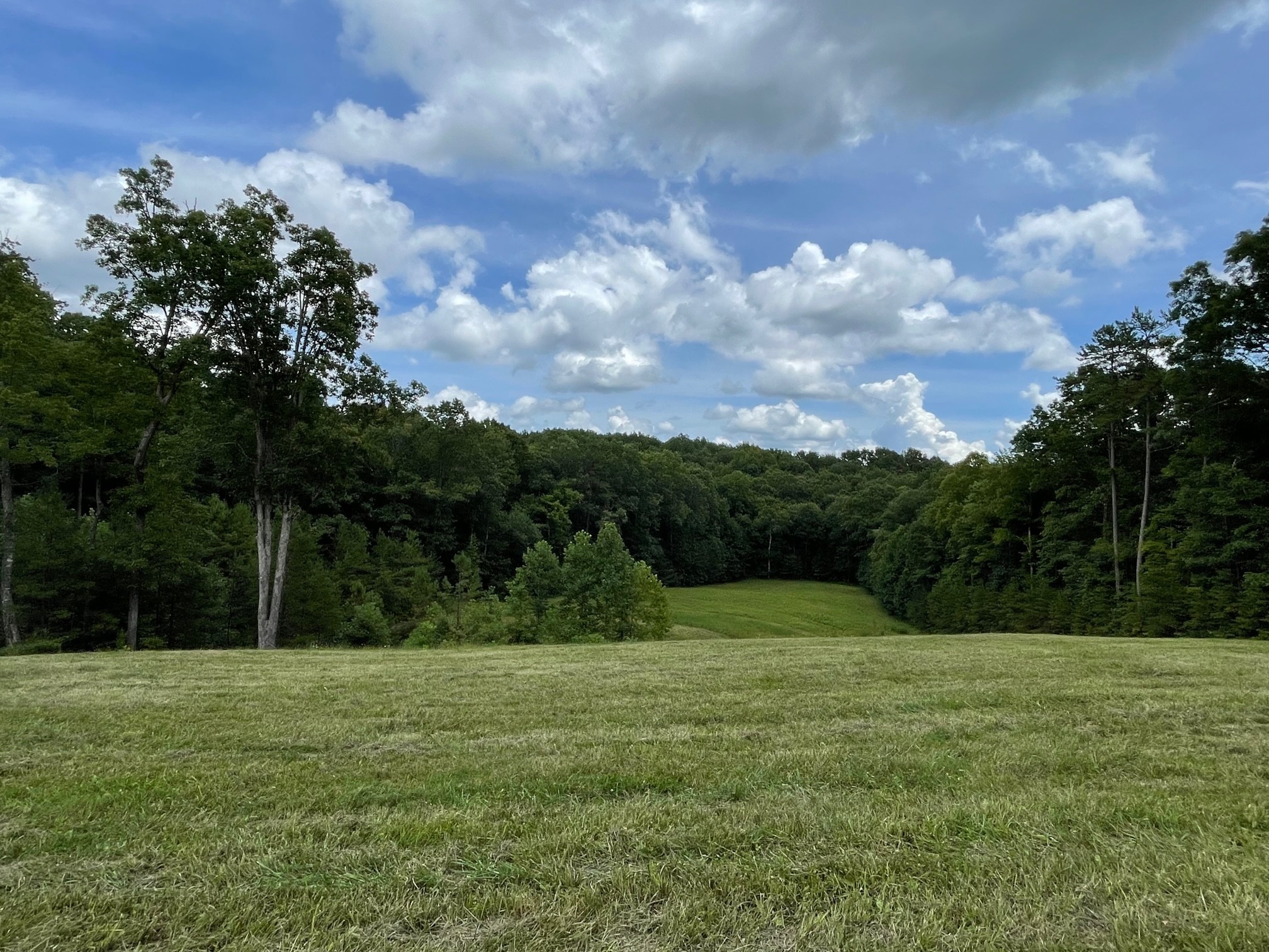 242 Pickett Line Road Jamestown, TN 38556 - Photo 42 of 68 Gallery Image 42