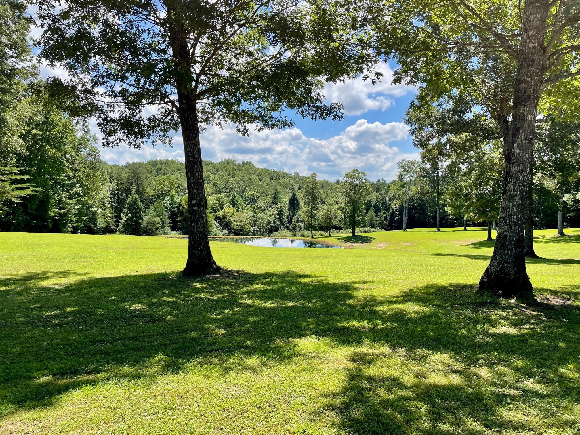 242 Pickett Line Road Jamestown, TN 38556 - Photo 47 of 68 Gallery Image 47