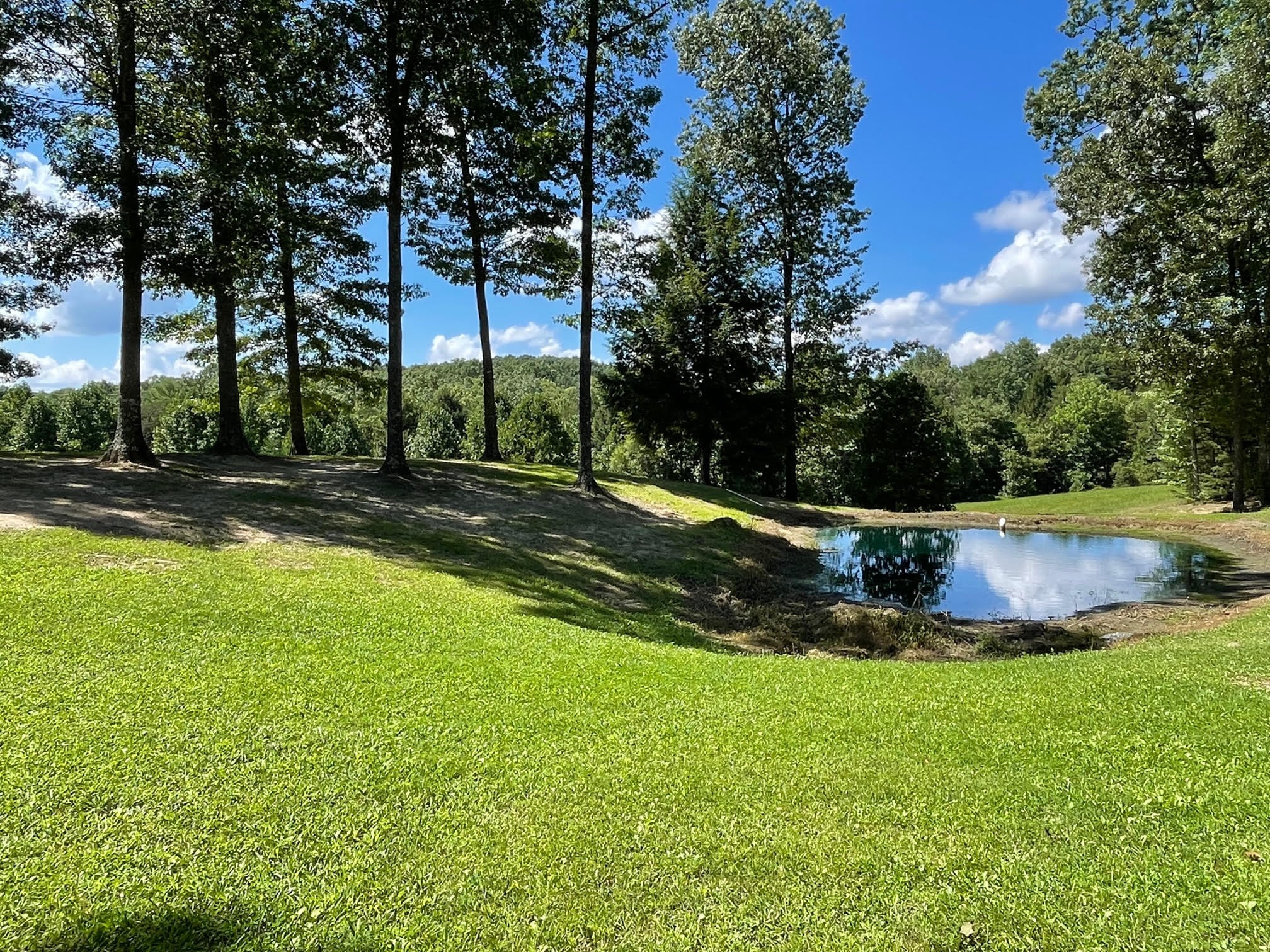 242 Pickett Line Road Jamestown, TN 38556 - Photo 56 of 68 Gallery Image 56