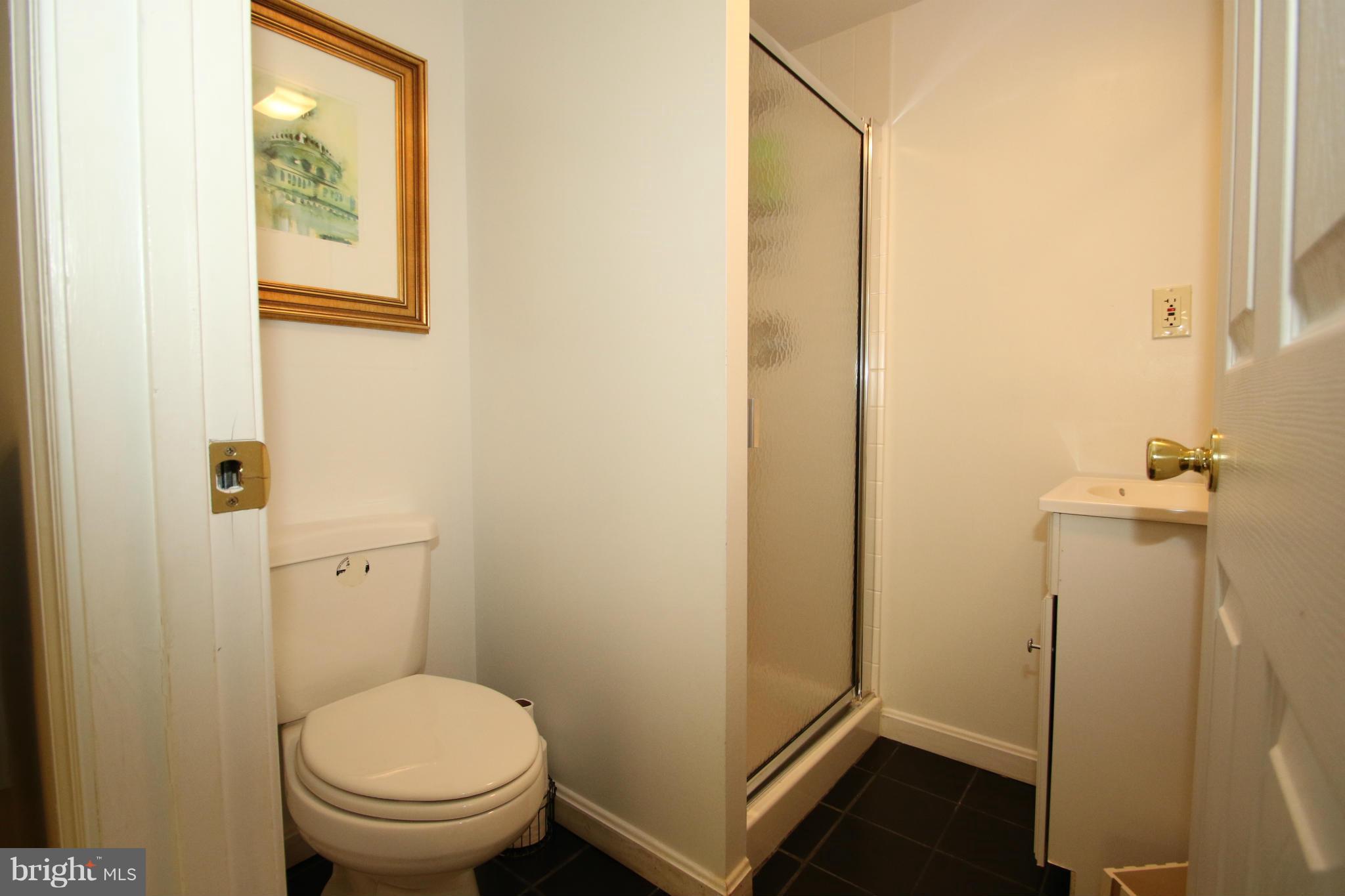 1605 Stonebridge Road Alexandria, VA 22304 - Photo 29 of 30 Full bath on lower level