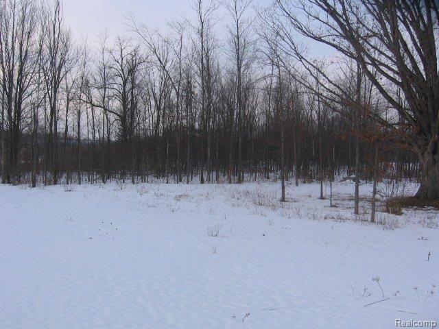 11378 Dunn Road Memphis, MI 48041 - Photo 11 of 14 11378 Dunn back acreage and pond