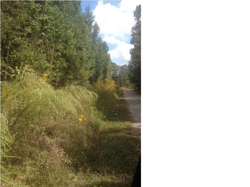 0 Osie Thomas Road Lena, MS 39094 - Photo 1 of 1 Photo 1