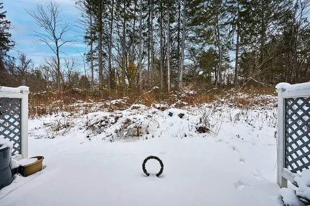 a tree in a yard next to a building