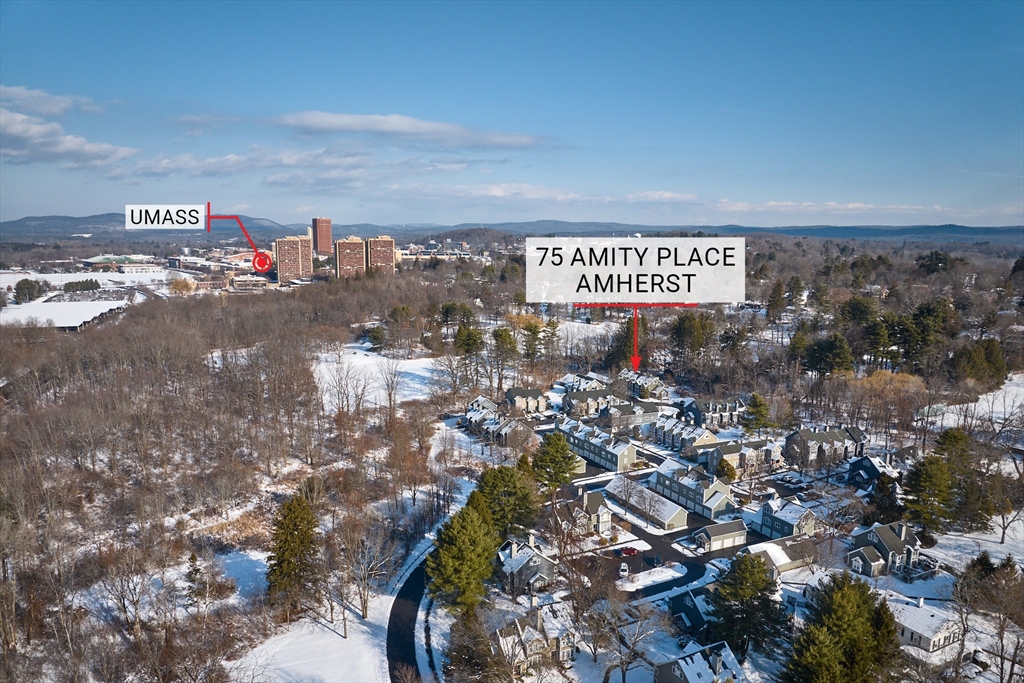 75 Amity Place, Unit 75 Amherst, MA 01002 - Photo 36 of 42