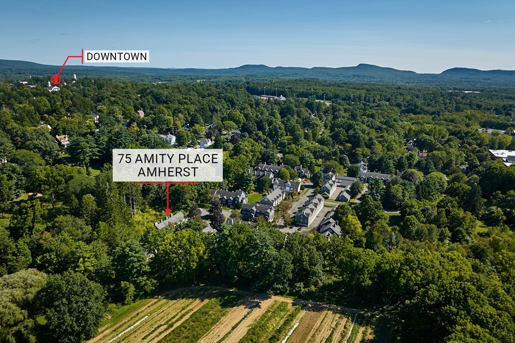 75 Amity Place, Unit 75 Amherst, MA 01002 - Photo 39 of 42