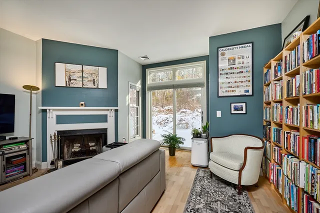 a living room with a couch a bookshelf and a fireplace