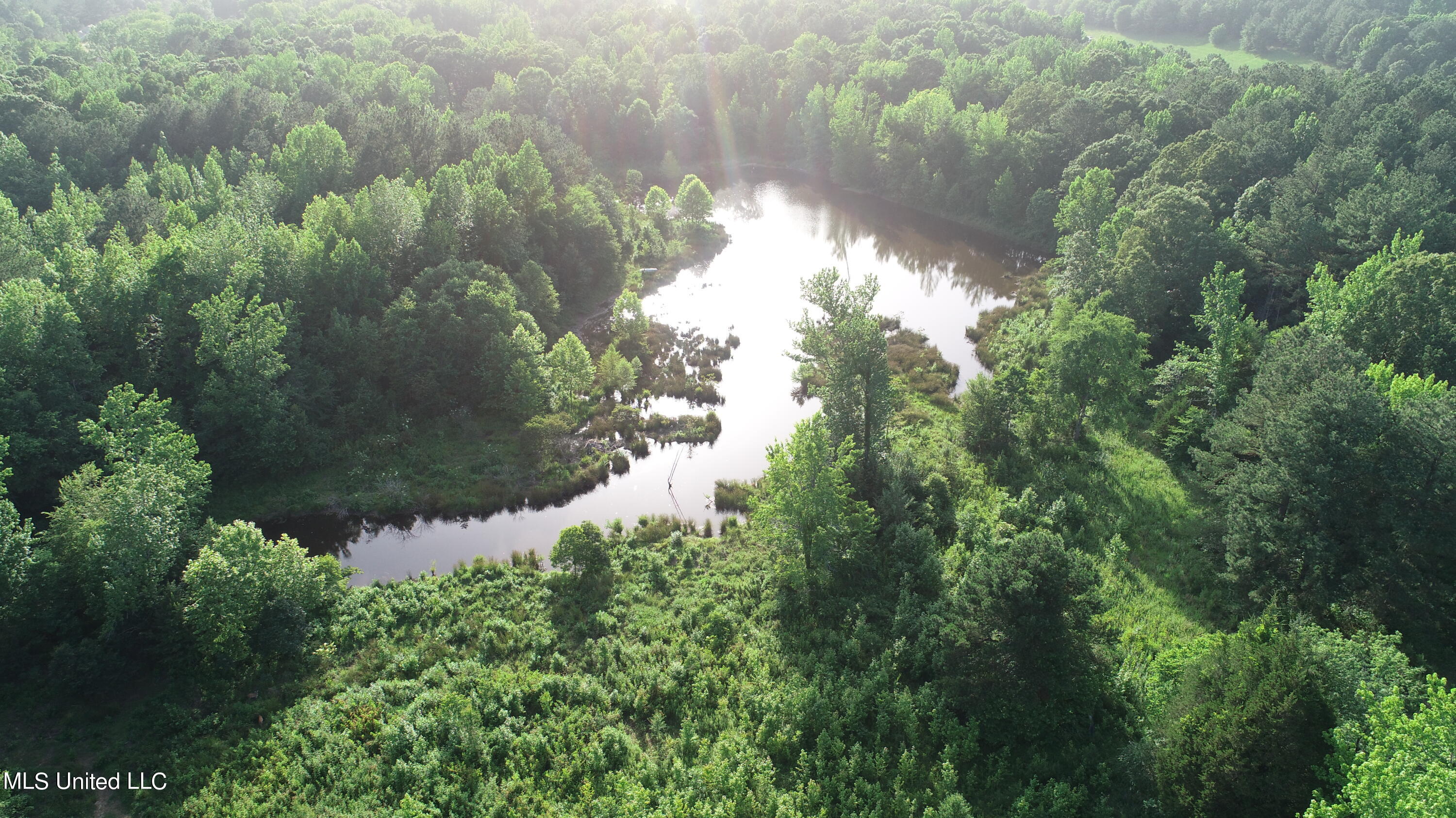 44 Mayse Road Byhalia, MS 38611 - Photo 3 of 8 DJI_0003