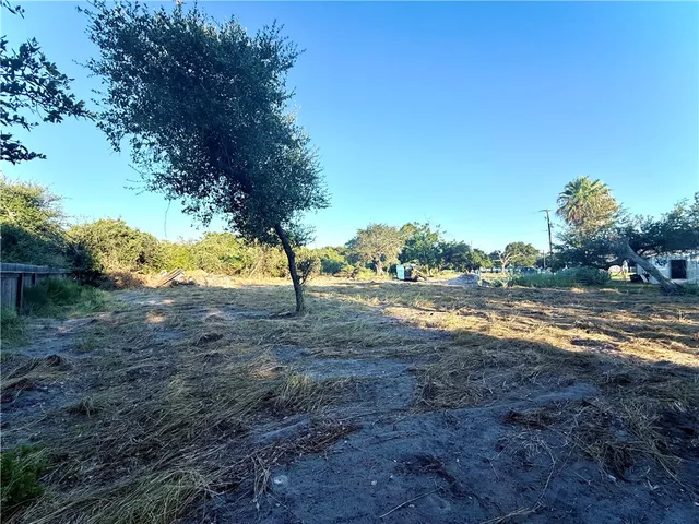 a view of dirt yard with a tree