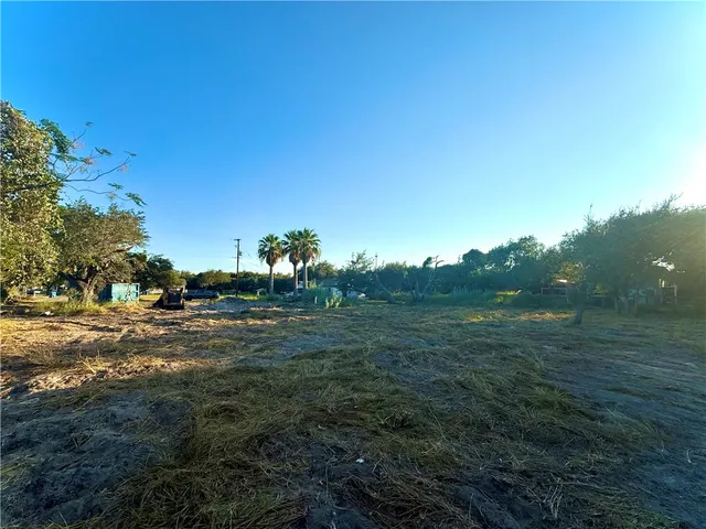 a view of a field of grass and trees