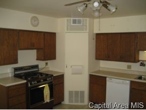1536 West Adams Street Springfield, IL 62704 - Photo 3 of 11 Gallery Image 3