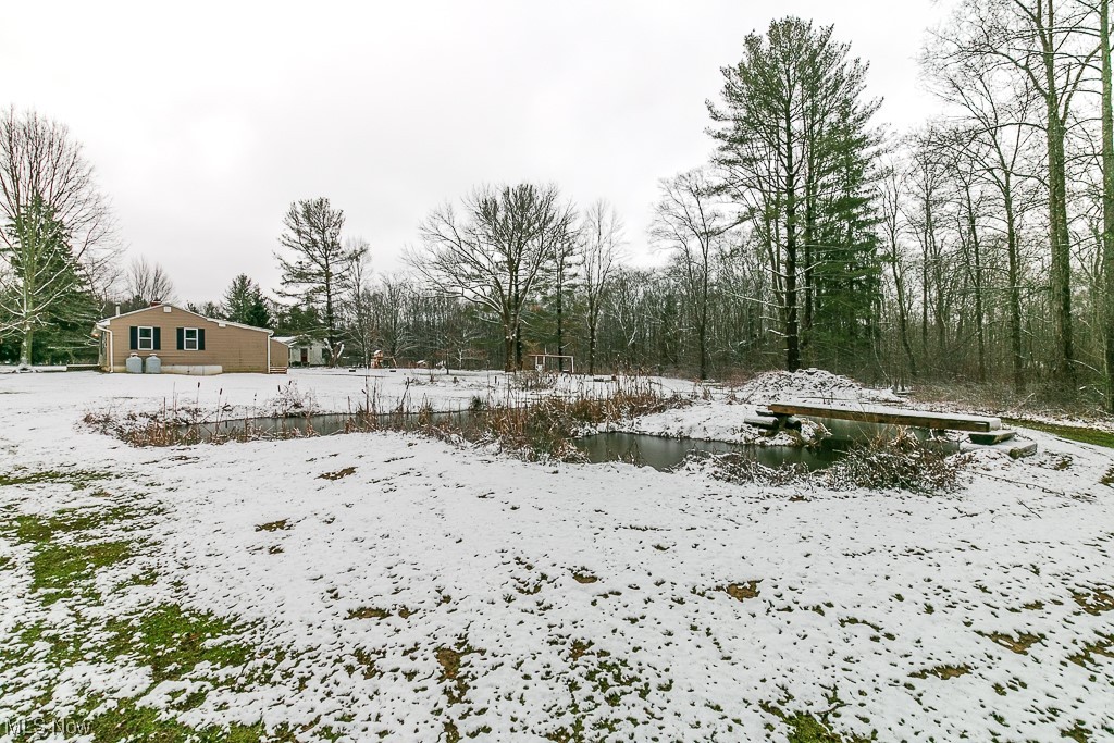 13619 Hall Road Chardon, OH 44024 - Photo 5 of 36 View of yard covered in snow