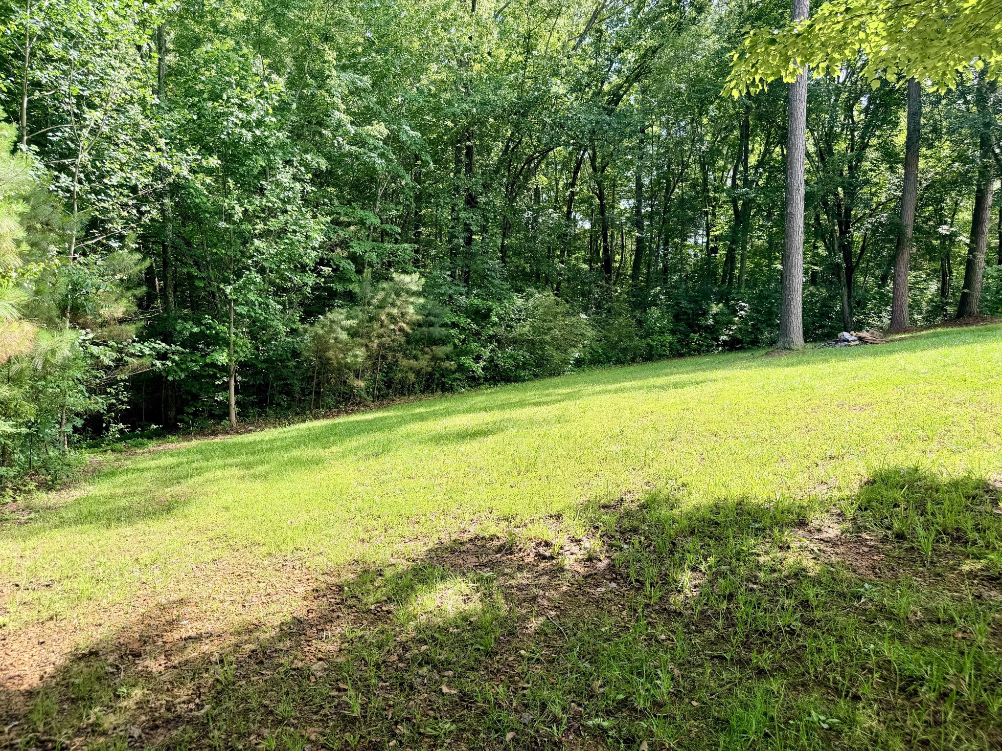 5005 Marion Road Cunningham, TN 37052 - Photo 35 of 40