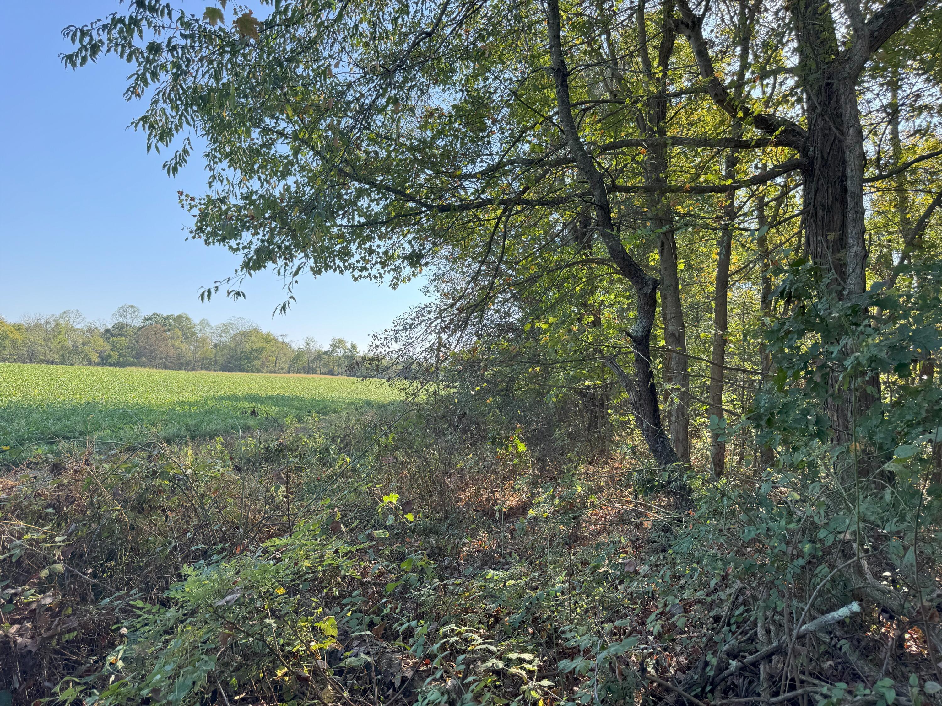 0 McKinney Road Piketon, OH 45661 - Photo 20 of 27 IMG_8923