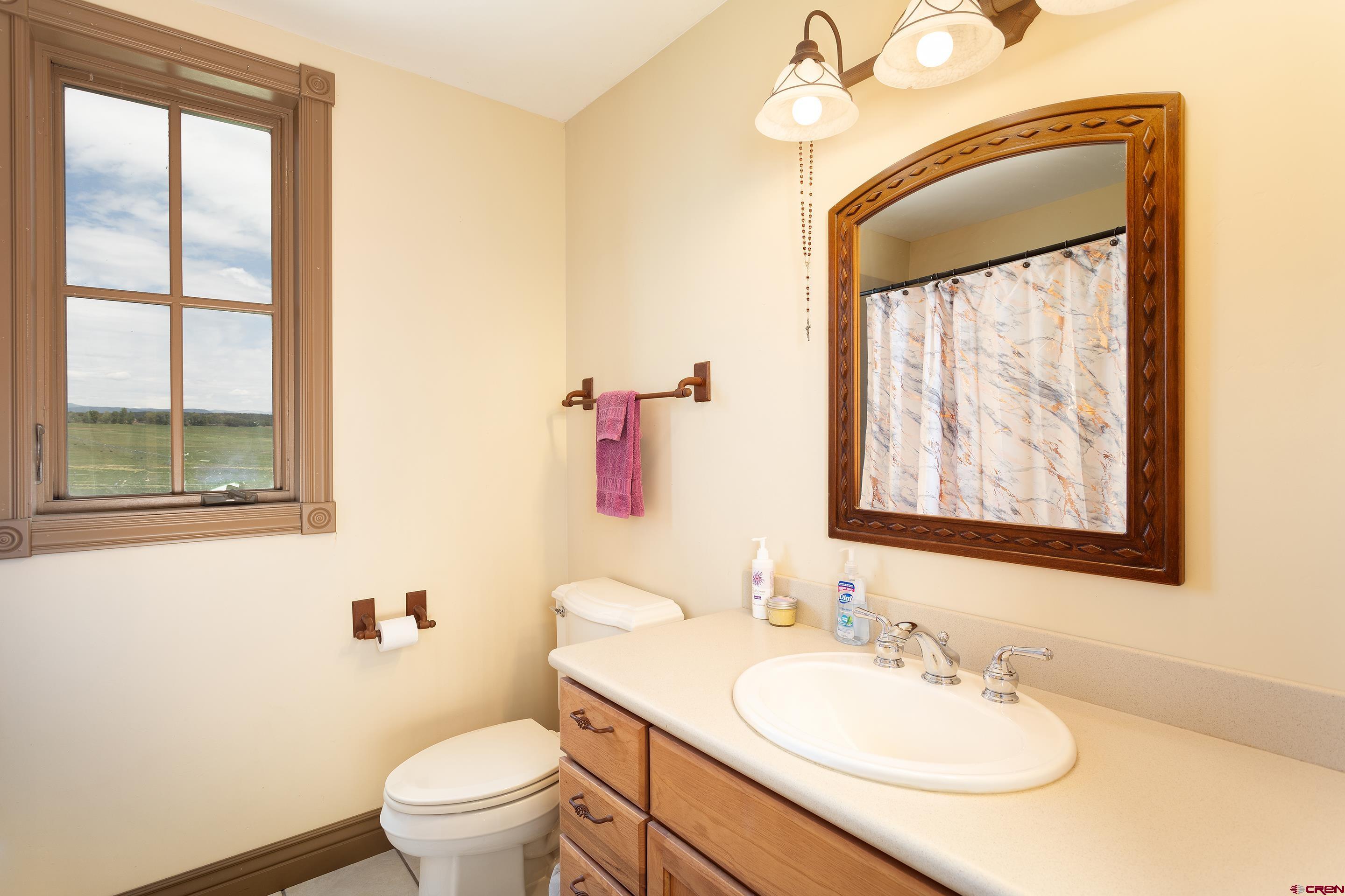1747 County Road 514 Ignacio, CO 81137 - Photo 20 of 35 a bathroom with a toilet a sink a mirror a window and vanity