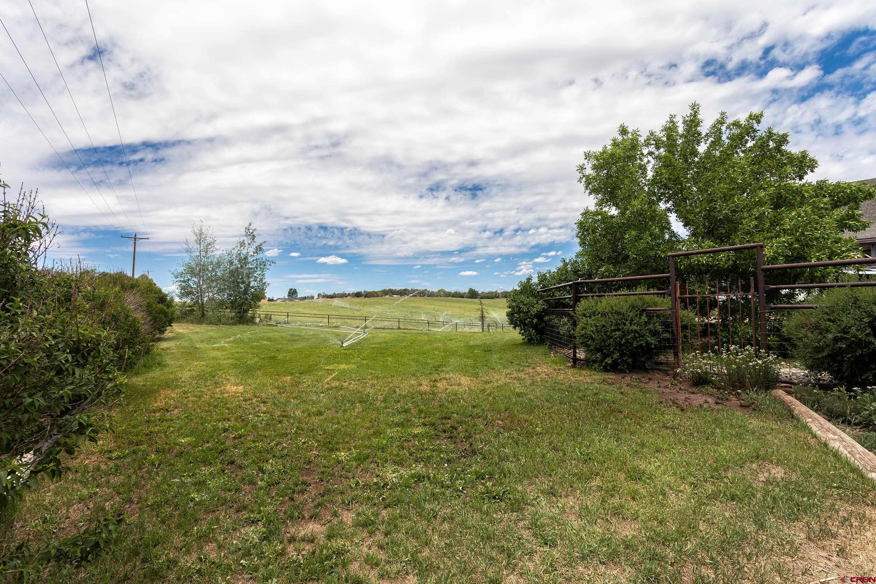 1747 County Road 514 Ignacio, CO 81137 - Photo 27 of 35 a view of a pathway both side of grassy field with shrub
