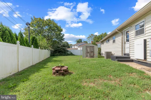 a view of a backyard with plants and large tree