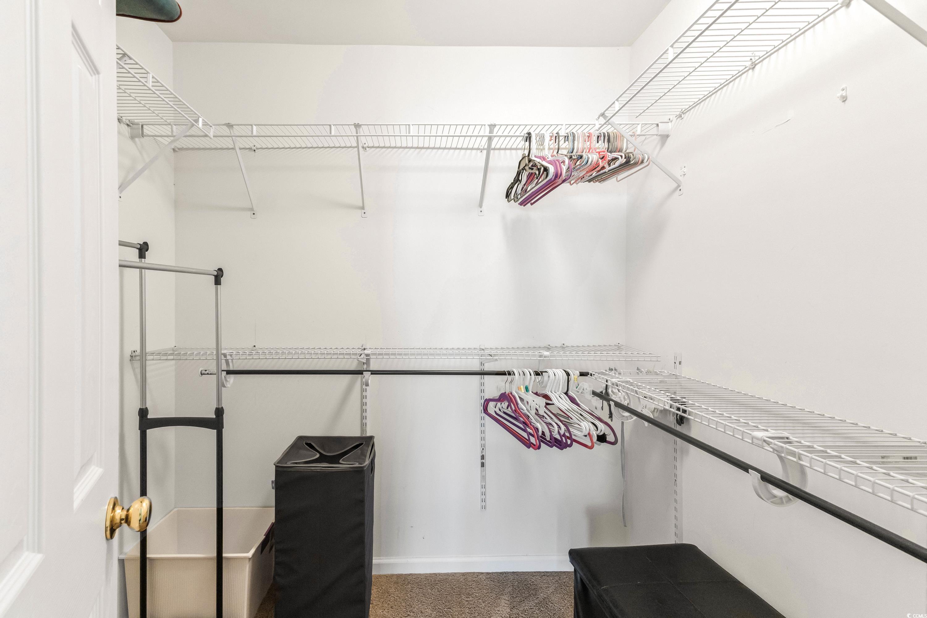 400 Black Smith Lane, Unit A Myrtle Beach, SC 29579 - Photo 26 of 35 Walk in closet featuring pet washing station