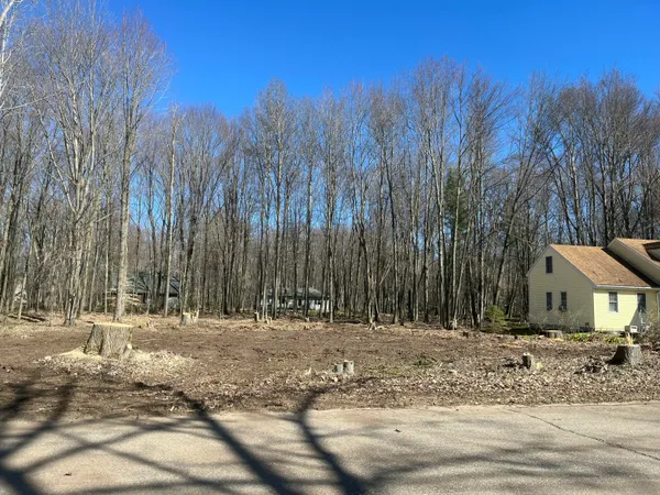 $25,000 | 6754 Club House Drive East, Stanwood, MI 49346