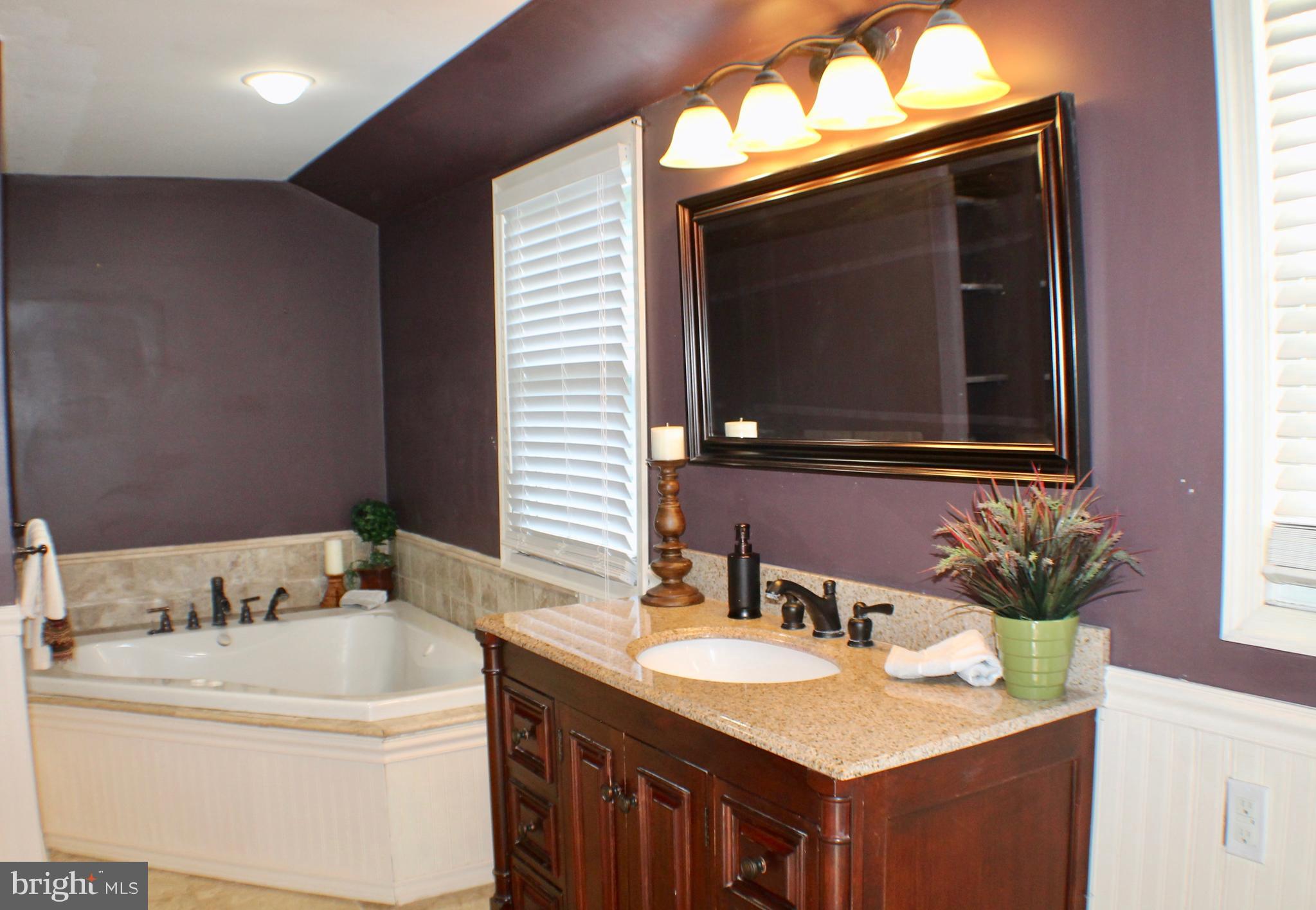 204 River Road Washington Crossing, PA 18977 - Photo 20 of 31 Full Bathroom with Jetted Tub-Upper Level