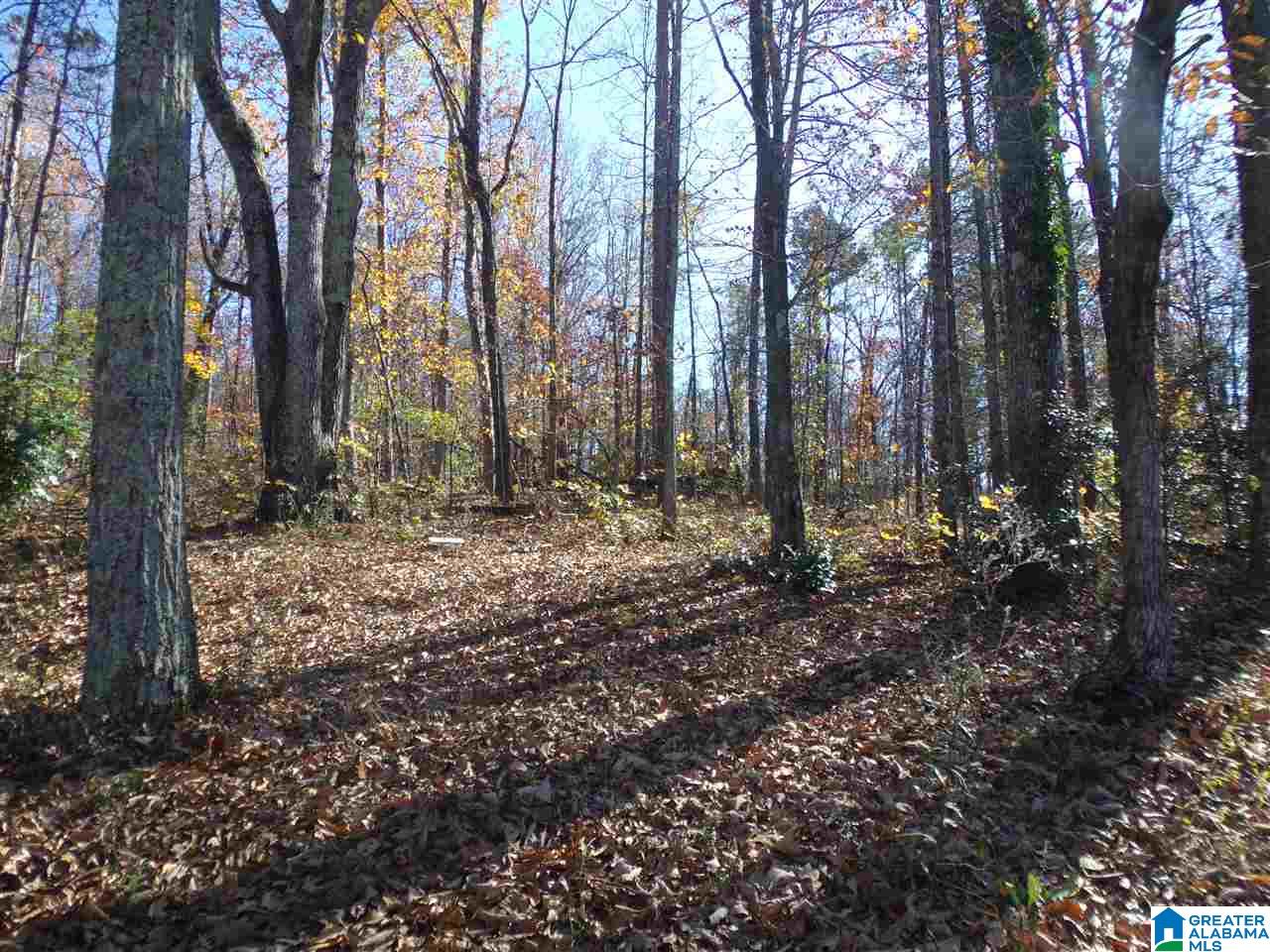 156 Pine Street Oneonta, AL 35121 - Photo 26 of 43