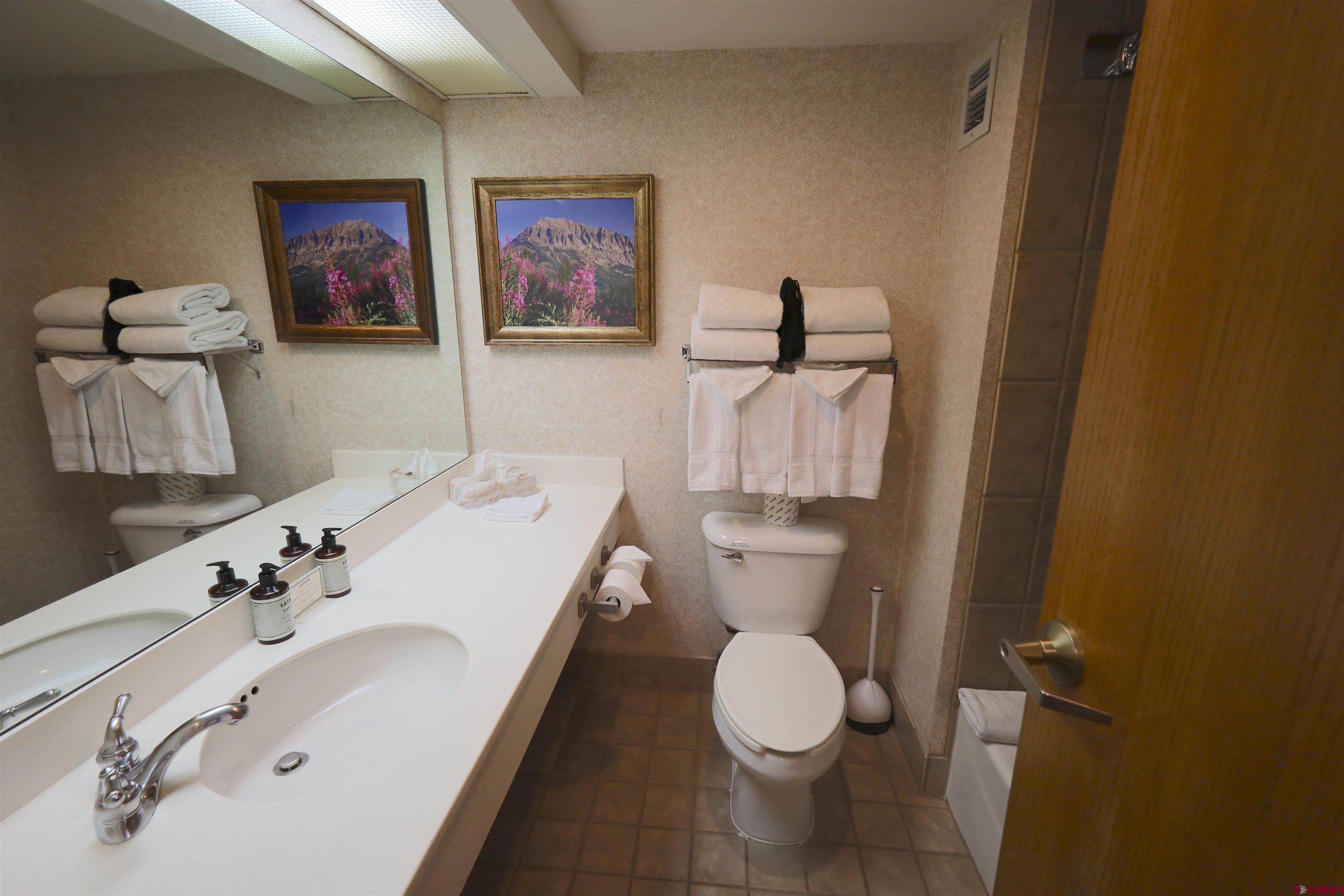 6 Emmons Road, Unit 478 Crested Butte, CO 81225 - Photo 42 of 45