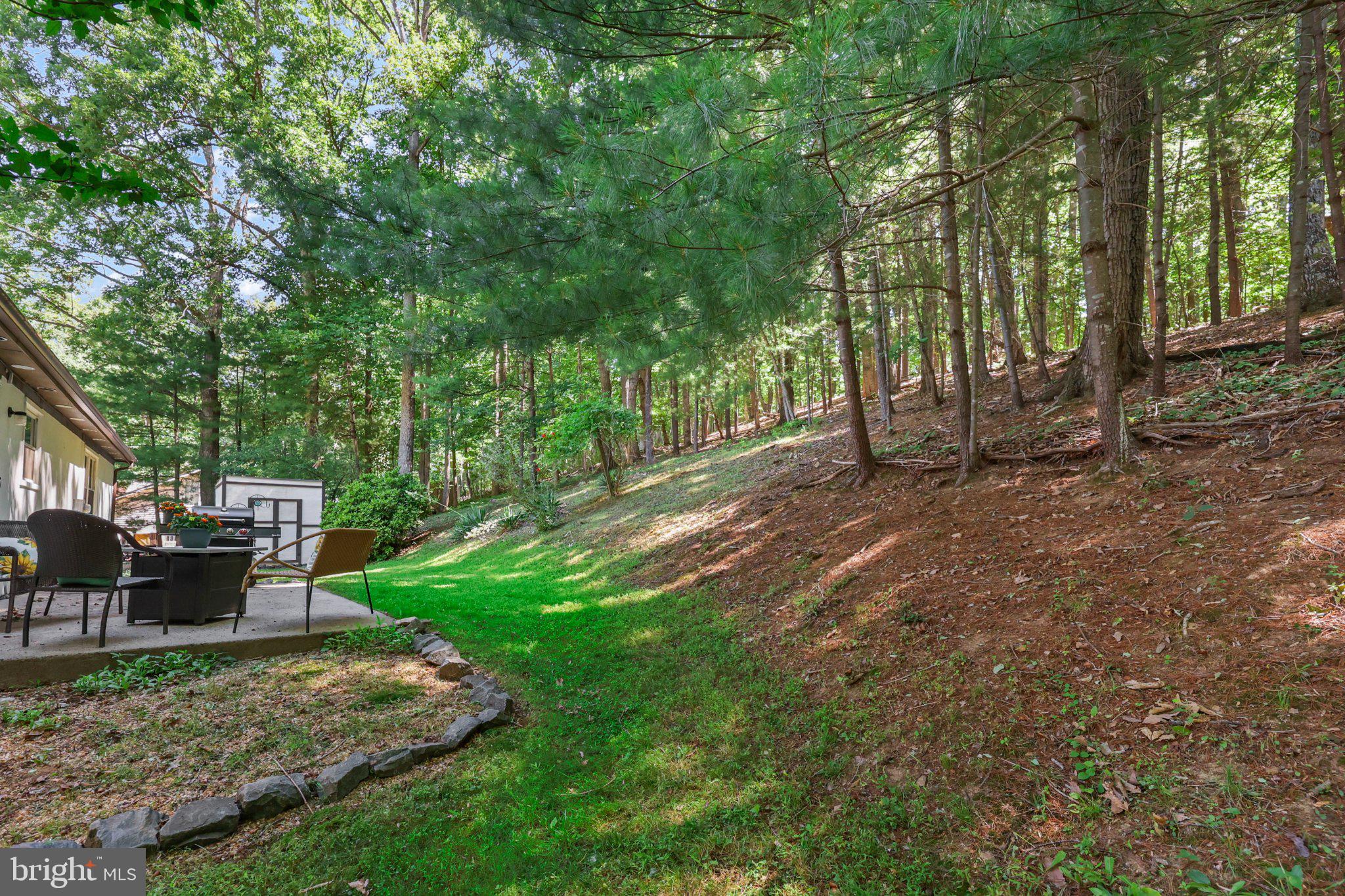 7357 Auburn Mill Road Warrenton, VA 20187 - Photo 31 of 35 Serene woodland retreat awaits you.