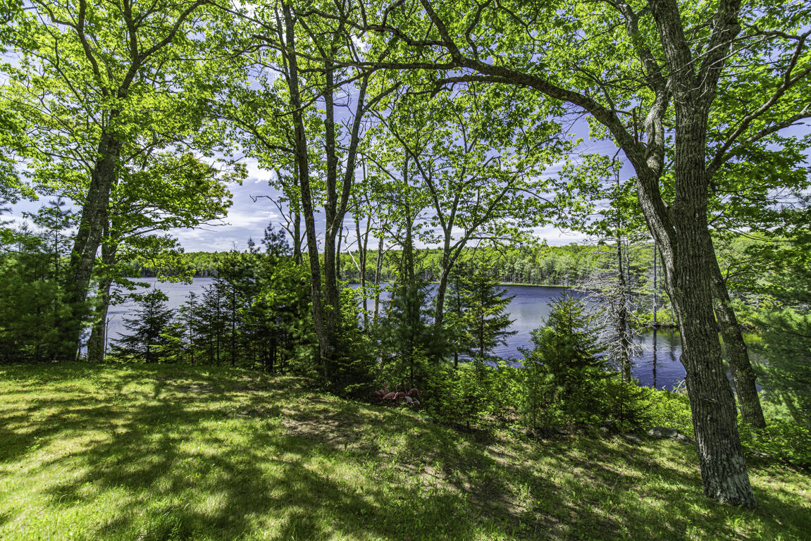 48 Douglas Loop Blue Hill, ME 04614 - Photo 6 of 28 2K9A8389