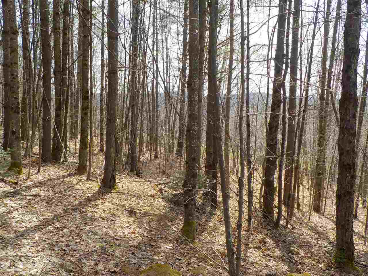 2 Tunny Mountain Road Concord, VT 05824 - Photo 4 of 8 Gallery Image 4