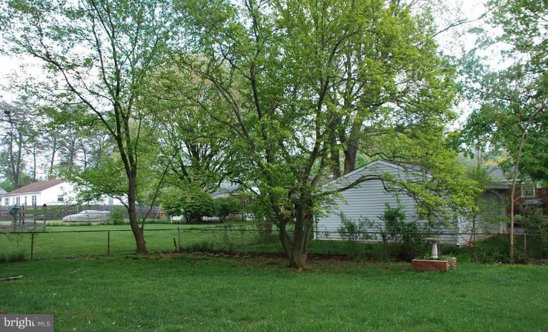 923 Gabel Court Silver Spring, MD 20901 - Photo 14 of 14 Back yard