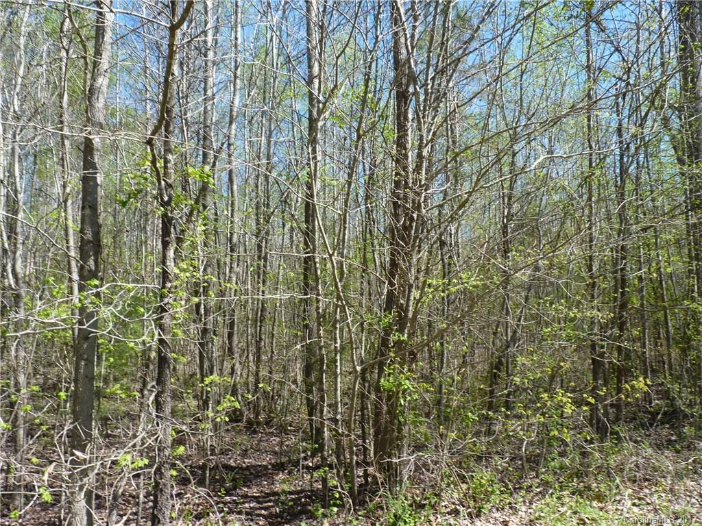 2800 Copeland Road Concord, NC 28025 - Photo 9 of 18 Gallery Image 9