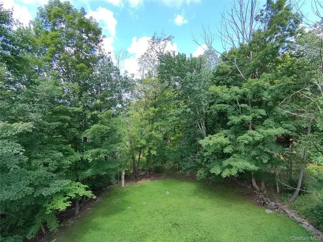 a view of a lush green forest