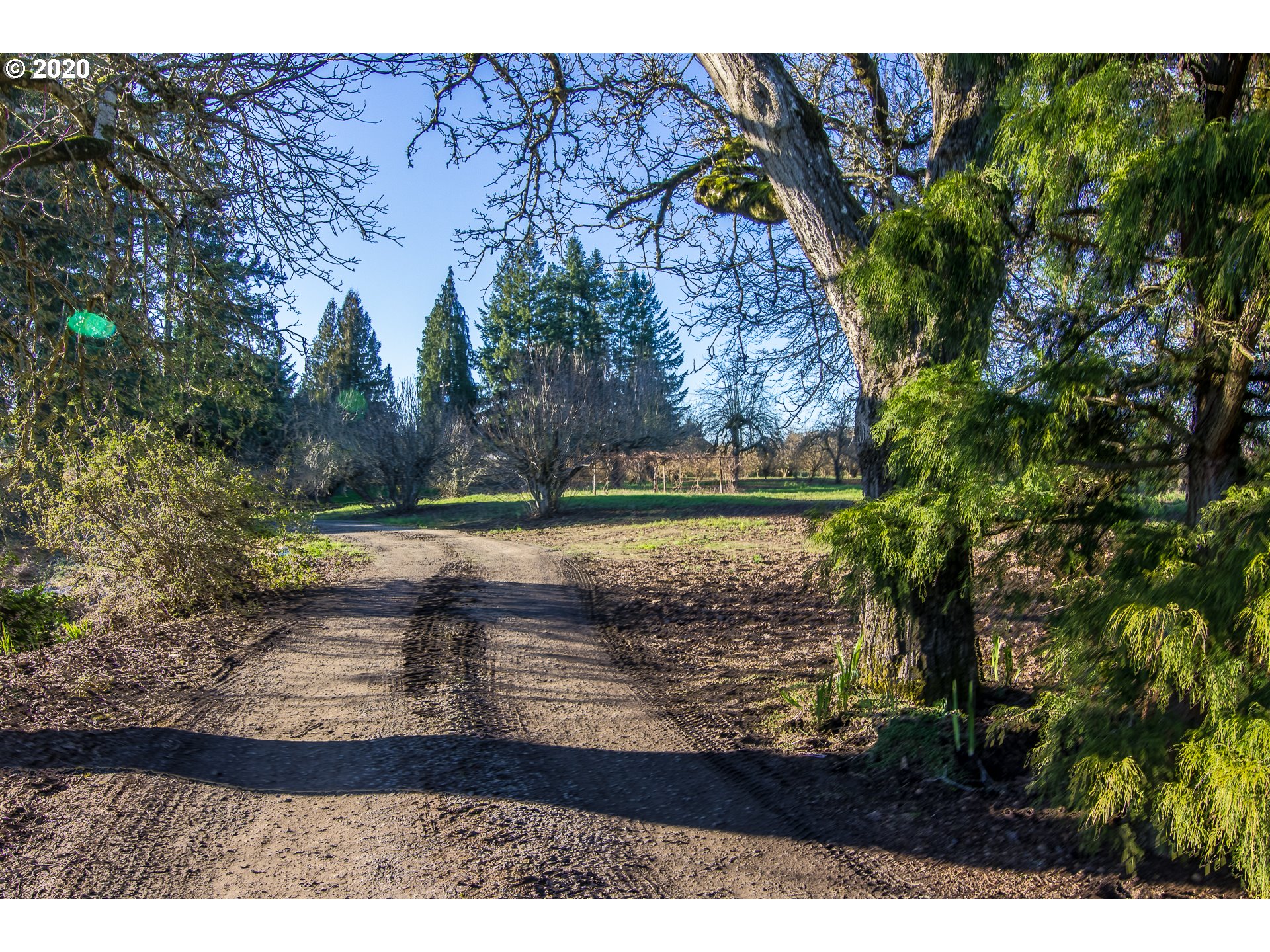 6700 Southwest Straughan Road Hillsboro, OR 97123 - Photo 2 of 30