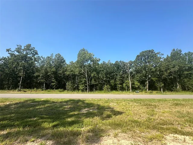 a view of a tree in a yard