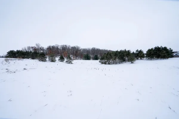 $125,000 | Tbd Lot 10 Tbd Avenue, Roberts, WI 54023