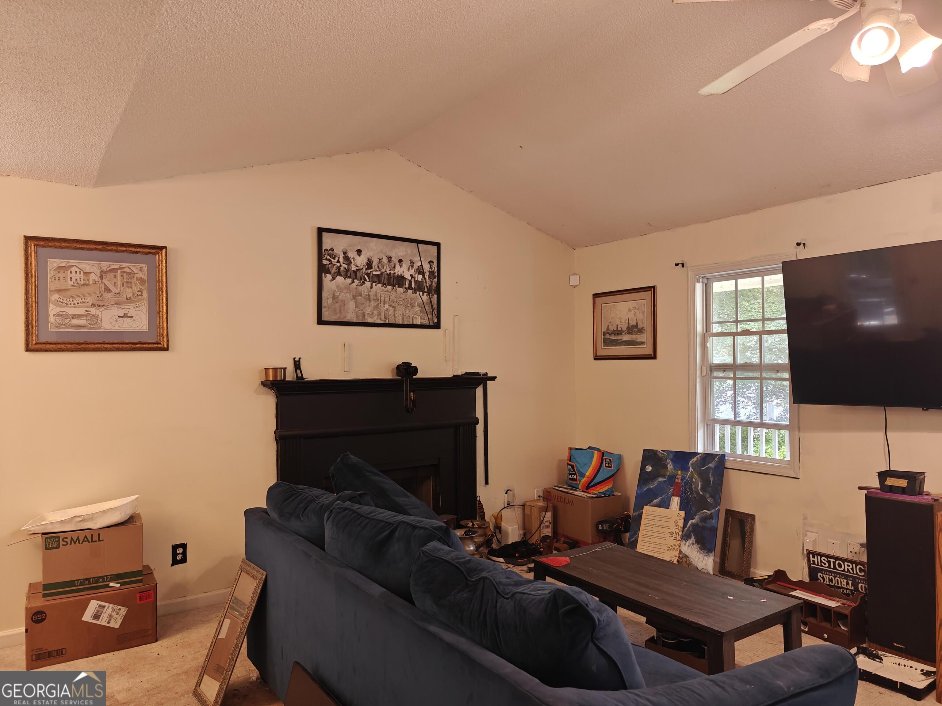 115 Cash Way Rockmart, GA 30153 - Photo 5 of 16