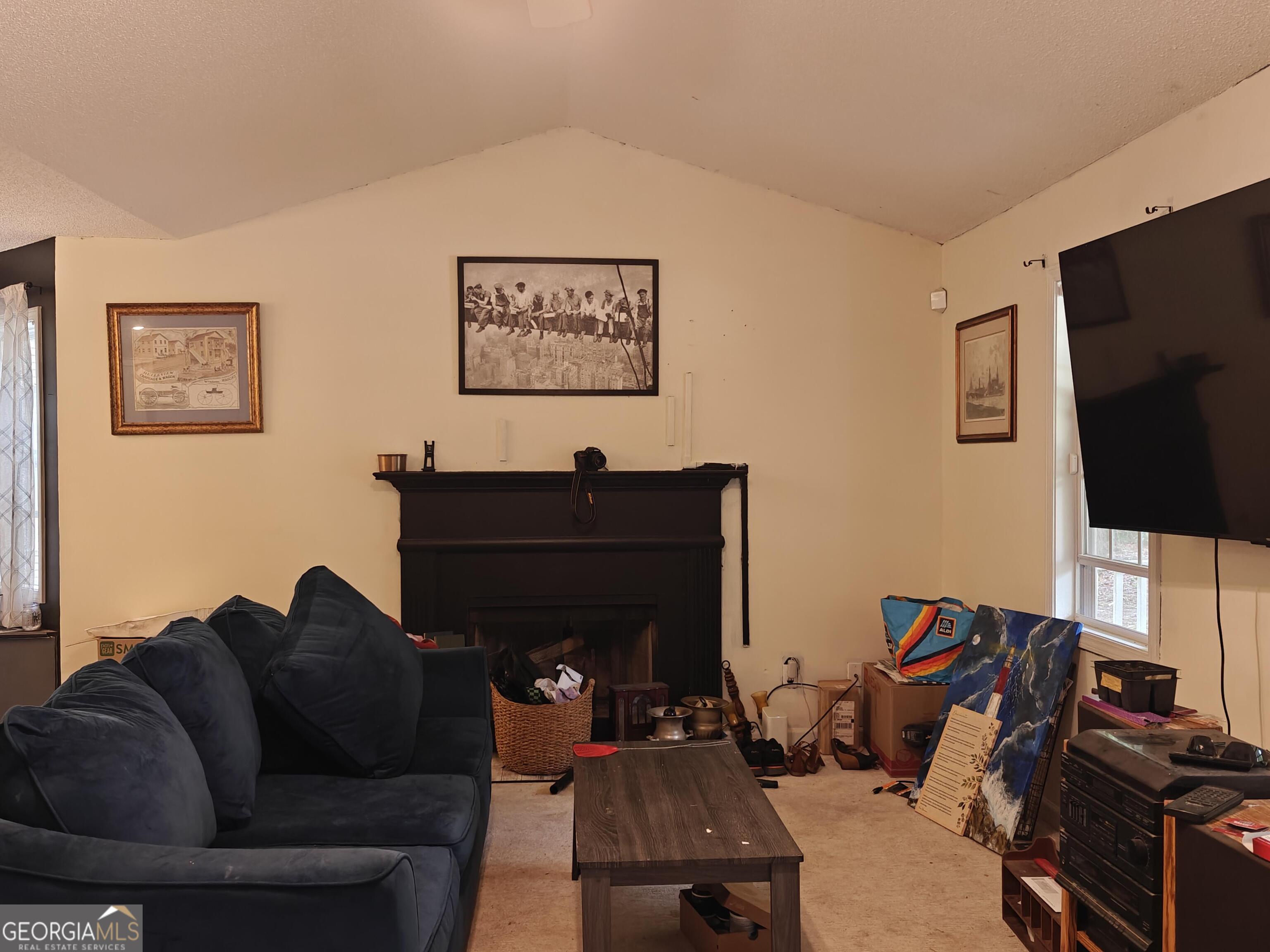 115 Cash Way Rockmart, GA 30153 - Photo 6 of 16