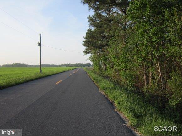 36189 Pear Tree Road Millsboro, DE 19966 - Photo 14 of 14 Gallery Image 14