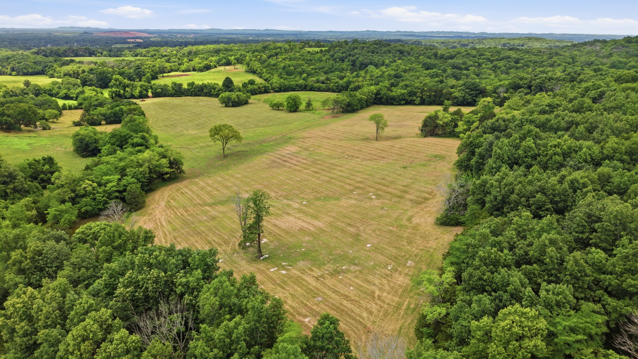 0 Pete Alsup Road Lascassas, TN 37085 - Photo 16 of 32