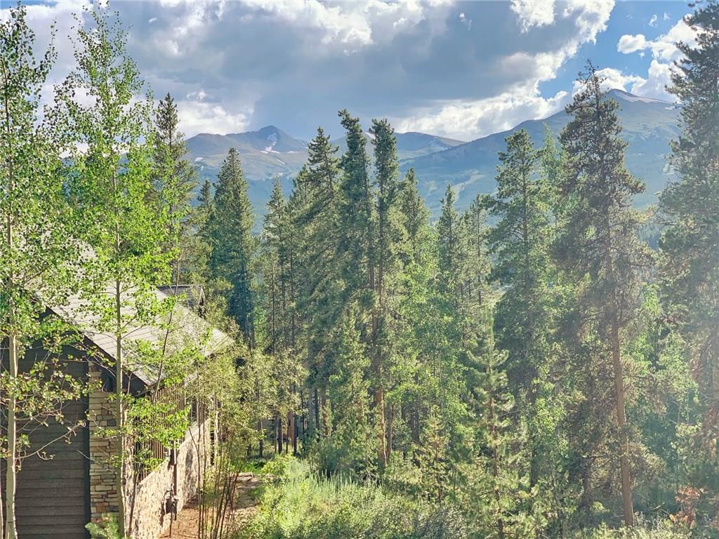 79 Rounds Road Breckenridge, CO 80424 - Photo 11 of 11 a view of a city with lots of trees