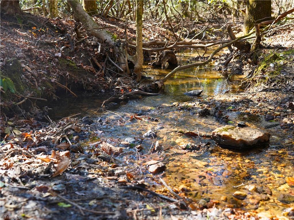 Tbd Flagstone Way Lowgap, NC 27024 - Photo 1 of 36