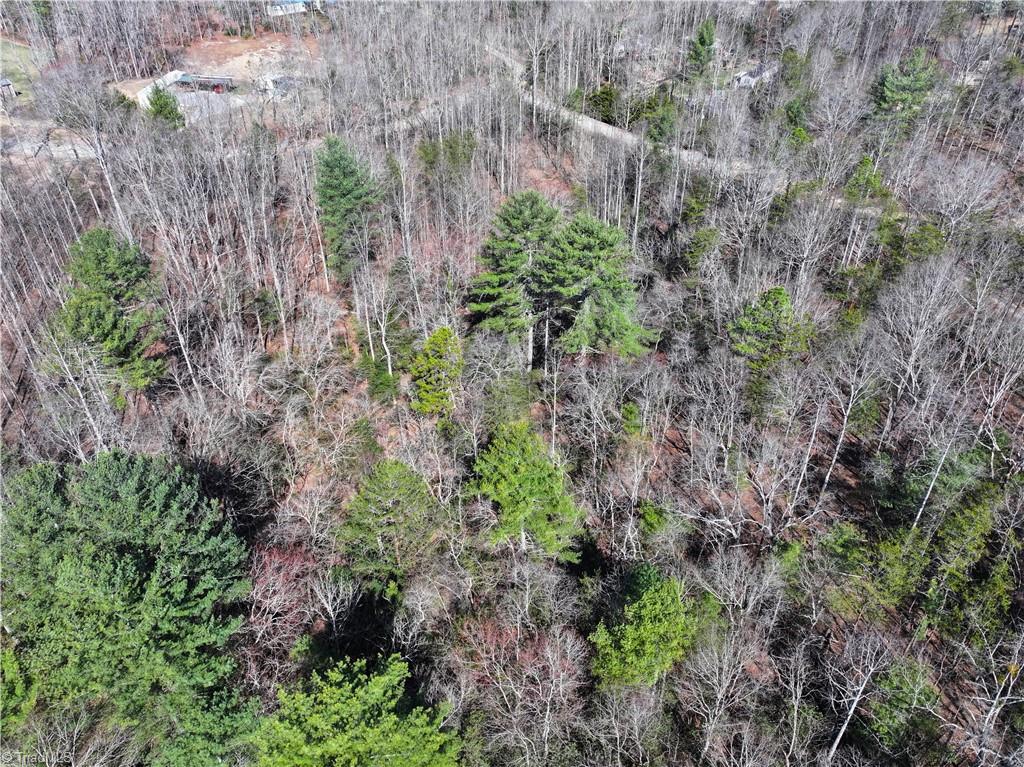 Tbd Flagstone Way Lowgap, NC 27024 - Photo 11 of 36