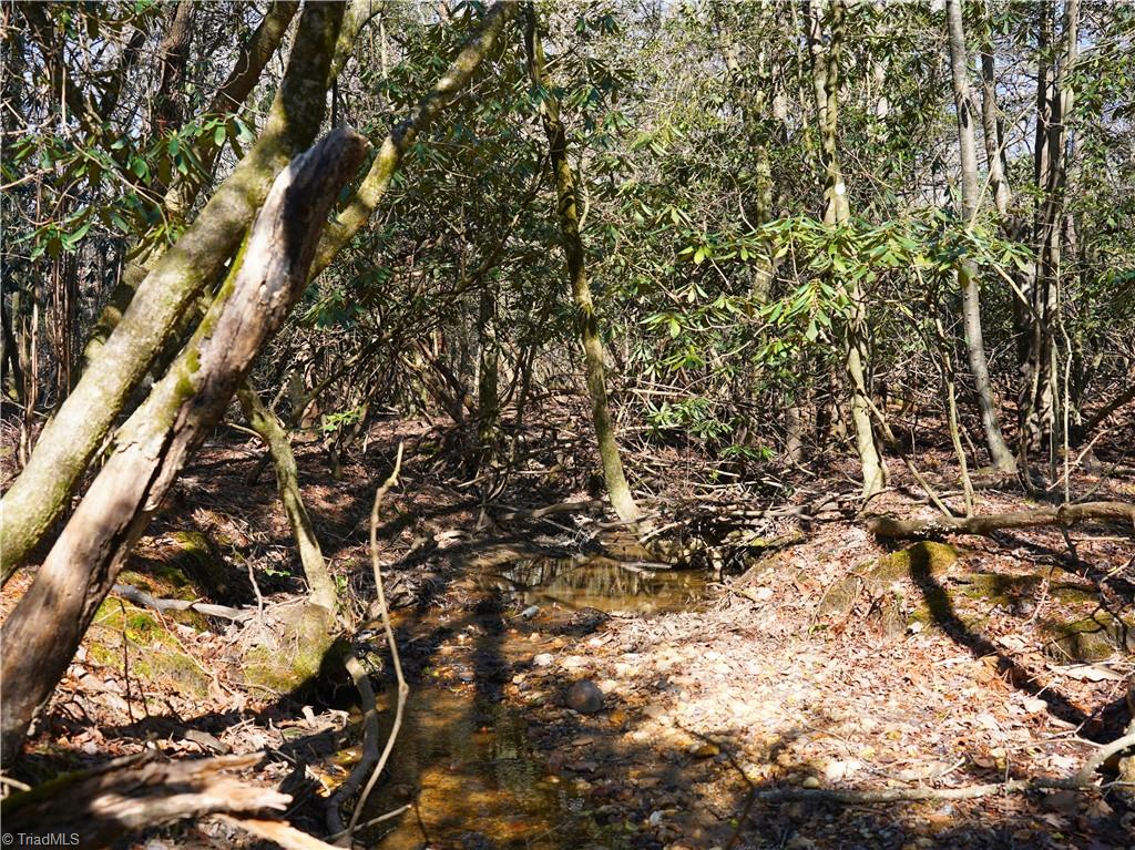 Tbd Flagstone Way Lowgap, NC 27024 - Photo 12 of 36