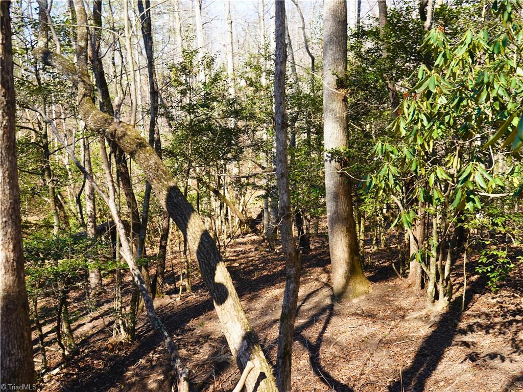 Tbd Flagstone Way Lowgap, NC 27024 - Photo 14 of 36