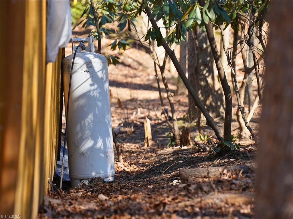Tbd Flagstone Way Lowgap, NC 27024 - Photo 17 of 36