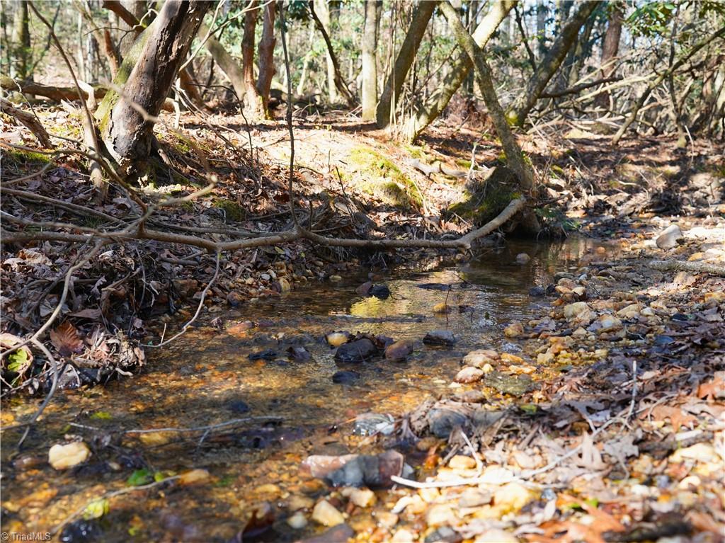 Tbd Flagstone Way Lowgap, NC 27024 - Photo 19 of 36