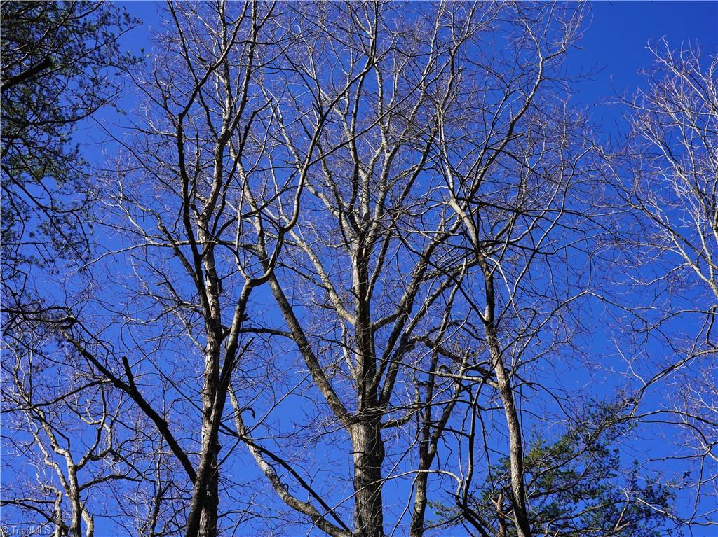 Tbd Flagstone Way Lowgap, NC 27024 - Photo 20 of 36