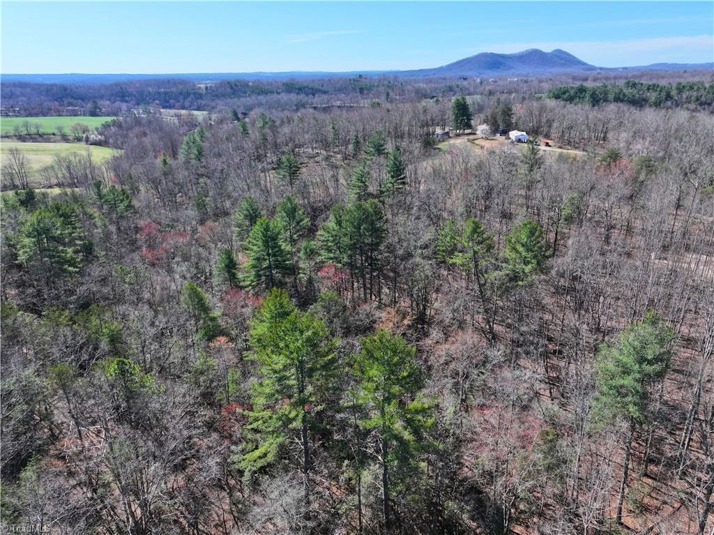 Tbd Flagstone Way Lowgap, NC 27024 - Photo 2 of 36
